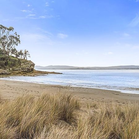 Beachfront Apartment Blackmans Bay Kingston Beach Exteriör bild